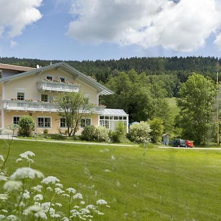 Landgasthof Zum Hirschenstein, Pension Garni Sankt Englmar Dış mekan fotoğraf