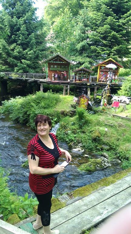 Landgasthof Zum Hirschenstein, Pension Garni Sankt Englmar Dış mekan fotoğraf